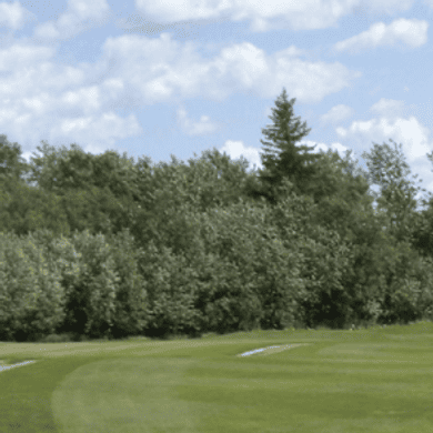 Gilbert Plains Country Club