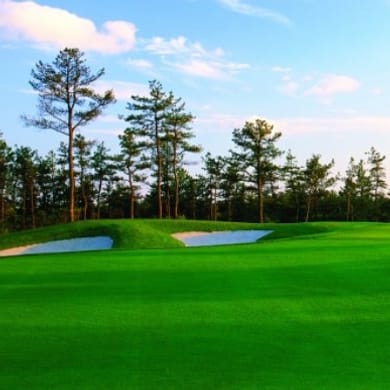 Pinehills Golf Club (Jones)