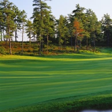 Pinehills Golf Club (Nicklaus)