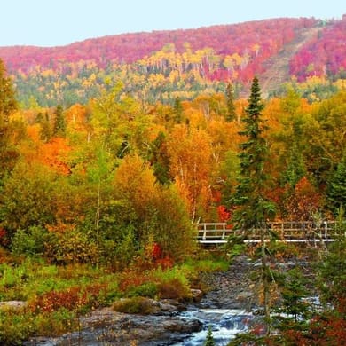 Superior National at Lutsen