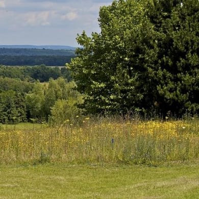 Golf Hôtel Mont Griffon (Lacs)