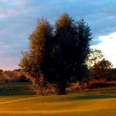 Pole Golfowe Zawarcie