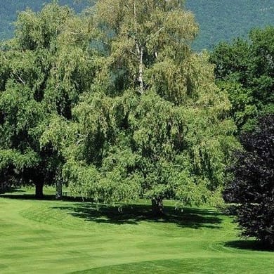 Golf Du Domaine De Divonne
