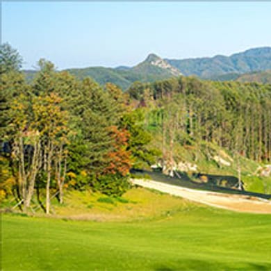 Shinedale Golf Resort
