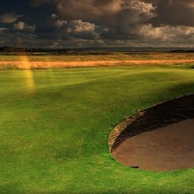 The Courses at Forest Park