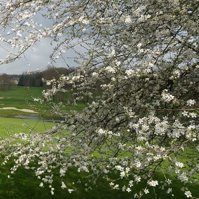 Golf du Château de la Chouette
