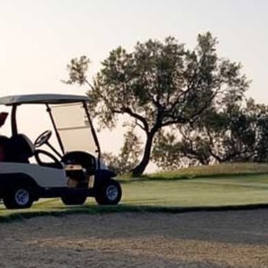 Golf Citrus (Executive)