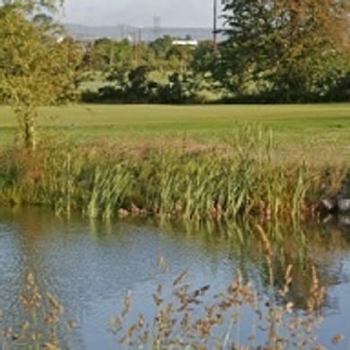 Portlaoise Golf Club
