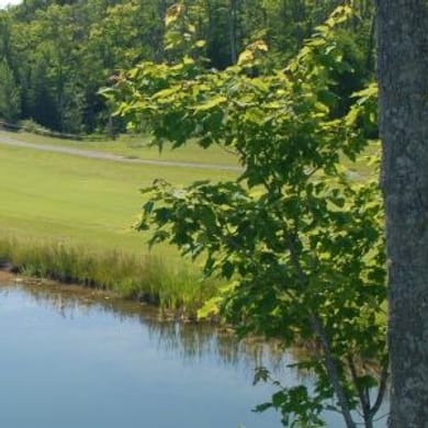 Wild Bluff Golf Course