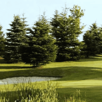 Turtle Creek Golf Club