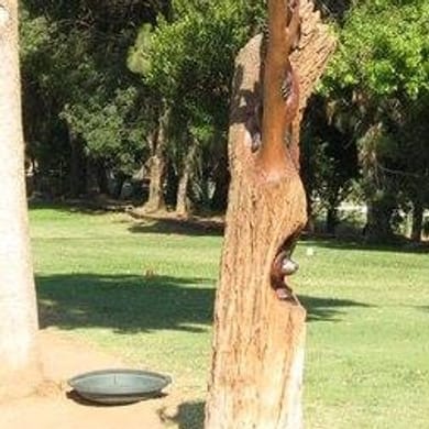 Hank’s Swank Par 3 Golf Course