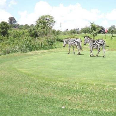 Kansanshi Golf Estate