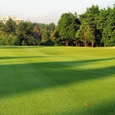 Forest Mizunami Country Club