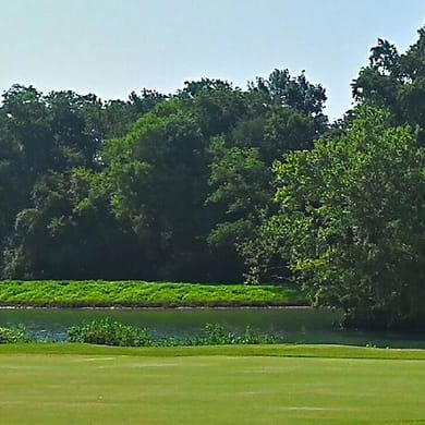 Island Pointe Golf Club