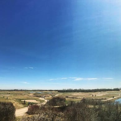 Moon Lake Golf & Country Club