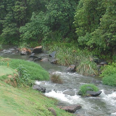 Fairview Hotel And Village Golf Course