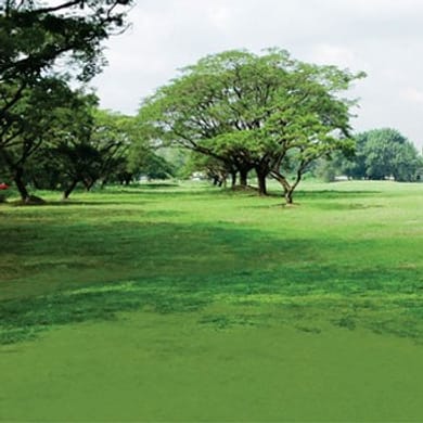 Air Force City Golf Course