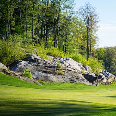 The Rock Golf Course