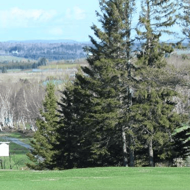 Club de Golf Les Saules