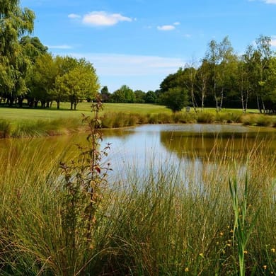 Golf De La Commanderie