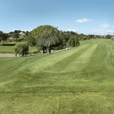Club de Golf El Bosque
