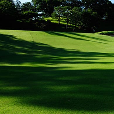 Kawasaki Kokusai Ikuta Ryokuchi Golf Course