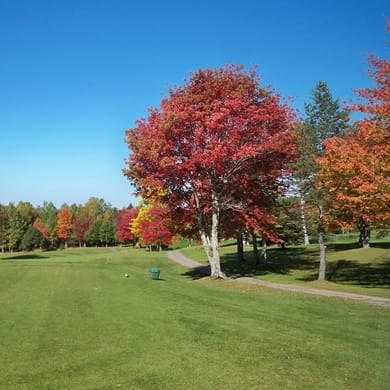 Hampton Golf Club
