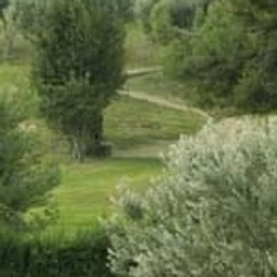 ROC 3 Pitch & Putt Golf