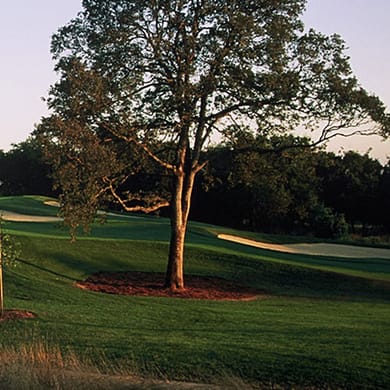 The Ridge Golf Course & Events Center
