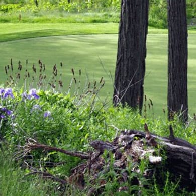 Coyote Creek Golf Club