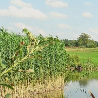 Golfpark Berlin Prenden (Prenden Pines)