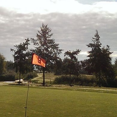 Shortgolf Swifterbant