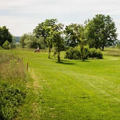 Golfpark Otelfingen (Champion)