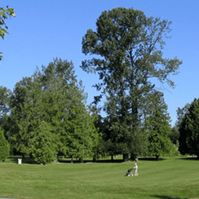 Langara Golf Course