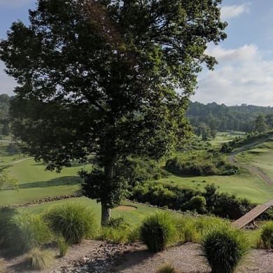 River Oaks Golf Club