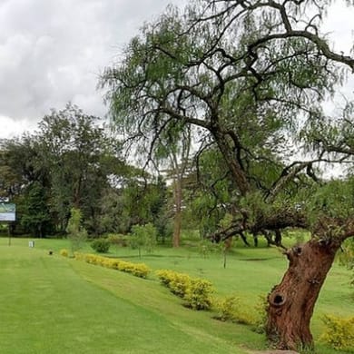 Royal Nairobi Golf Club