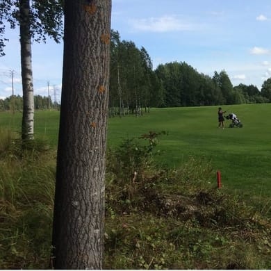Jyväs Golf