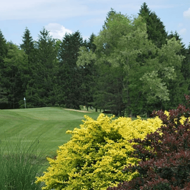 Bel Meadow Golf Club