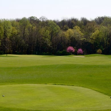 Eagle Creek Golf Course (Sycamore)