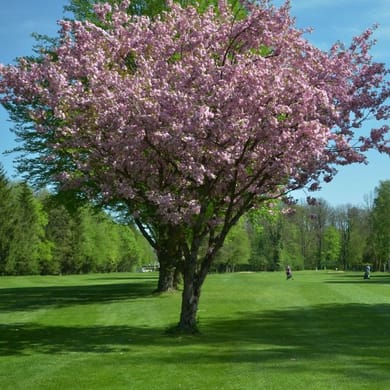 Münchener Golf Club Thalkirchen