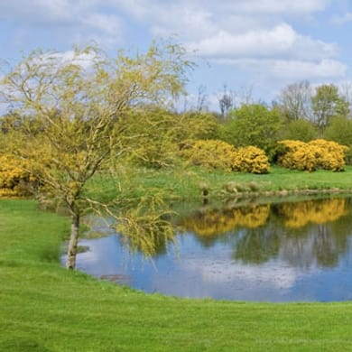 Rossmore Golf Club