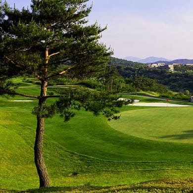 BlueOne The Honors Country Club