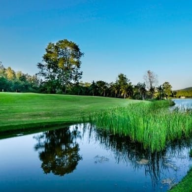 Forest Hill Country Club - Sir James Resort