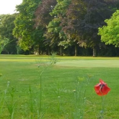 Le Mans Golf Club - Sargé