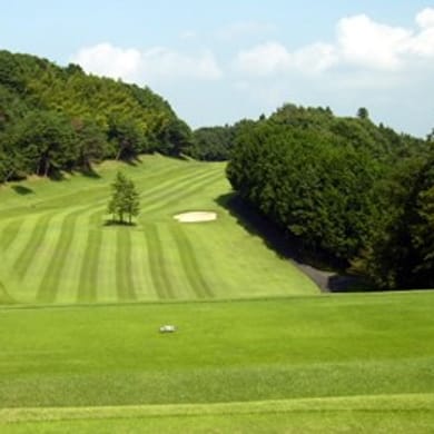 New Central Golf Club