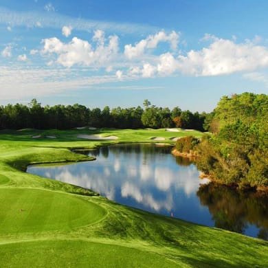 Wild Wing Plantation (The Avocet)