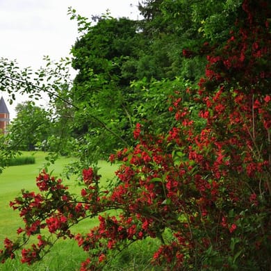 Royal Golf Club Oudenaarde (The Anker)