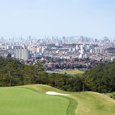 Castlex Golf Club Seoul