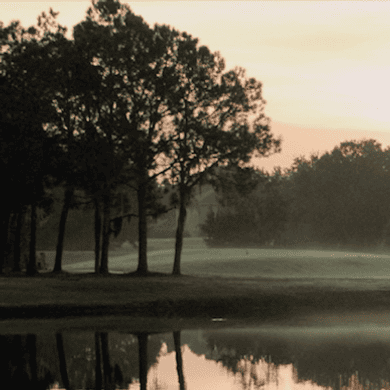 The Eagles Golf Club (Forest)