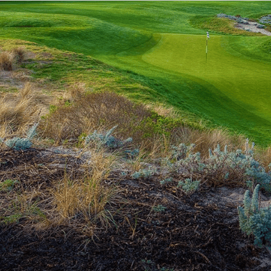 Spyglass Hill Golf Course